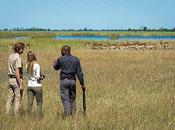 Little Duma Tau Camp: Walking Safari