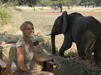 Luangwa Safari House: Elefant an der Terrasse Luangwa Safari House: Elefant an der Terrasse
