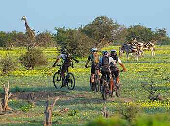 Mashatu Euphorbia Villas: Biking Safari