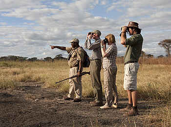 Oliver's Camp: Walking Safari