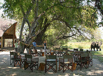 Pom Pom Camp: Elefantenbesuch im Camp Pom Pom Camp: Elefantenbesuch im Camp