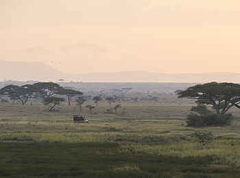 The Retreats at Namiri Plains Camp: In der Serengeti The Retreats at Namiri Plains Camp: In der Serengeti