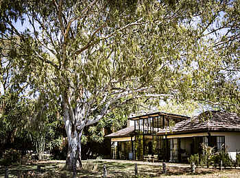 Segera Retreat: Das Green House