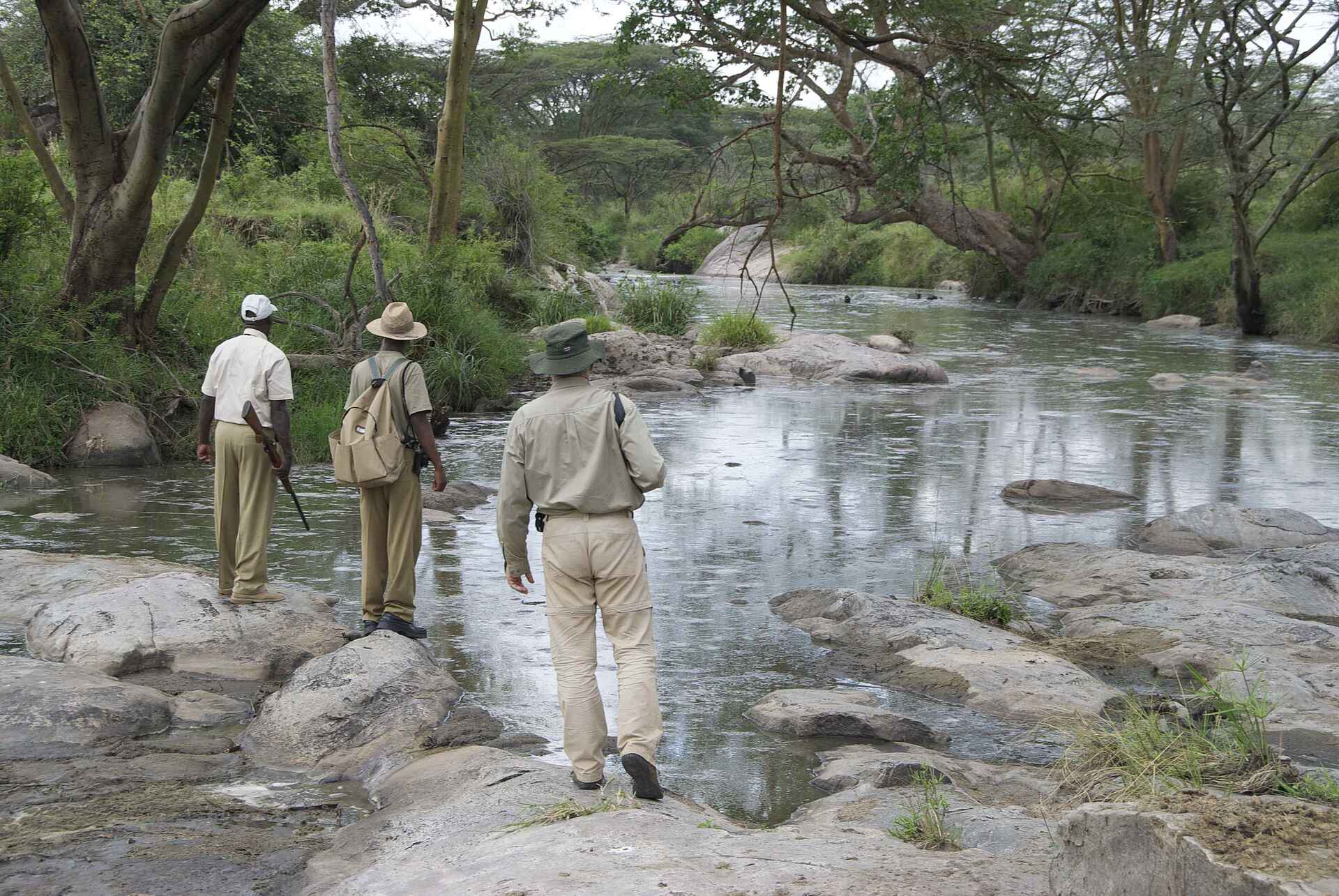Serengeti Migration Camp: Flusswanderung