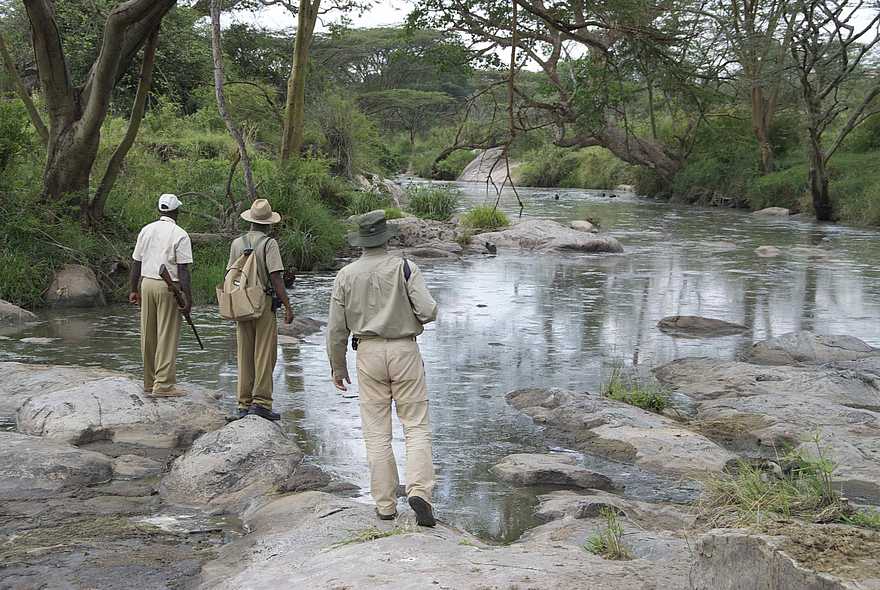 Serengeti Migration Camp: Flusswanderung Serengeti Migration Camp: Flusswanderung