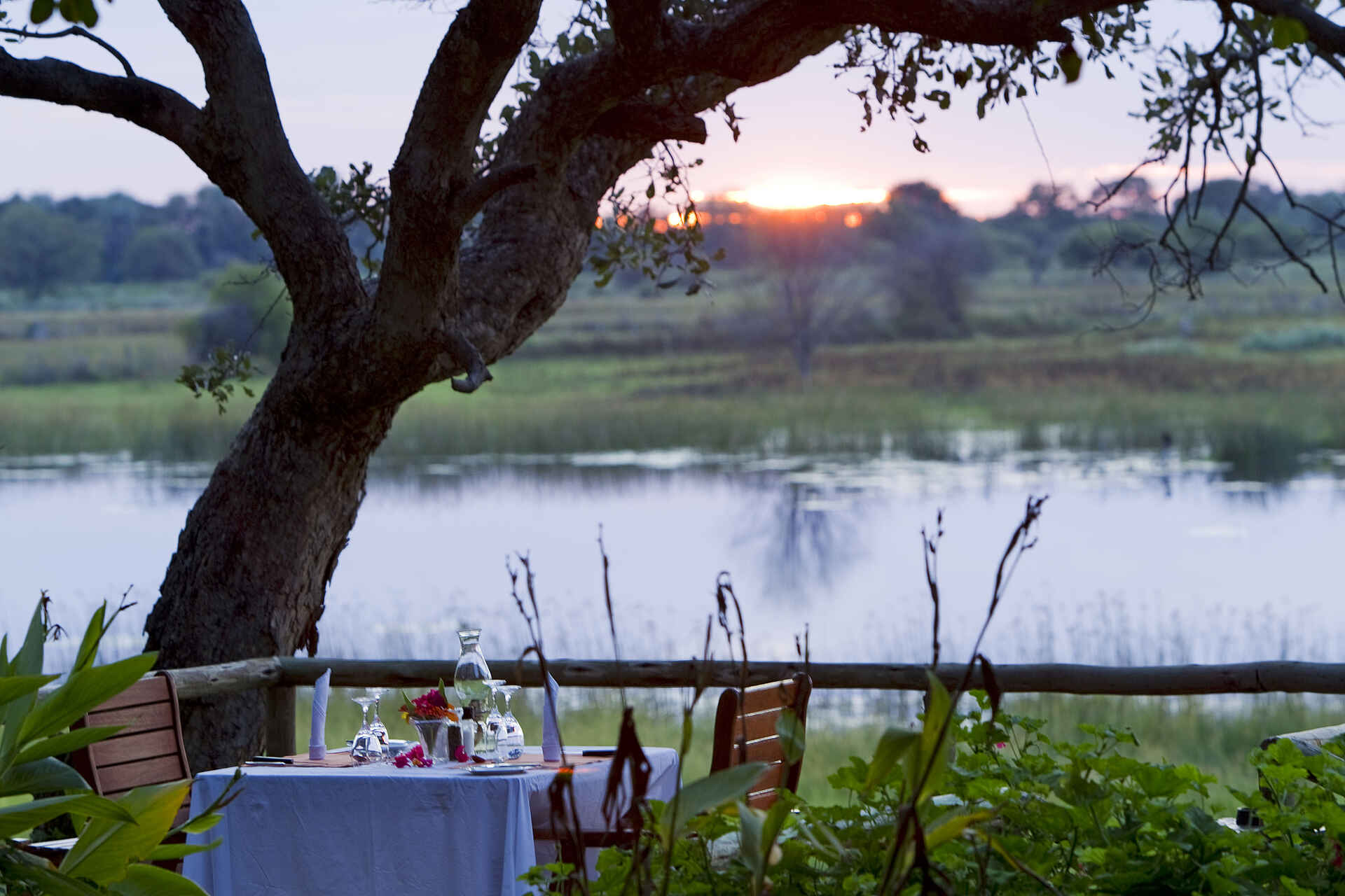 Dinner, Maun, Okavango-Delta, Restaurant, Thamalakane River Lodge