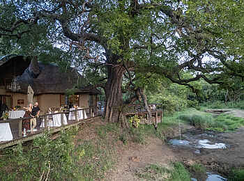 Tintswalo Safari Lodge: Die Terrasse mit Wasser für die Elefanten