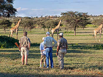 Tswalu Tarkuni Homestead: Zu Fuß unterwegs Tswalu Tarkuni Homestead: Zu Fuß unterwegs