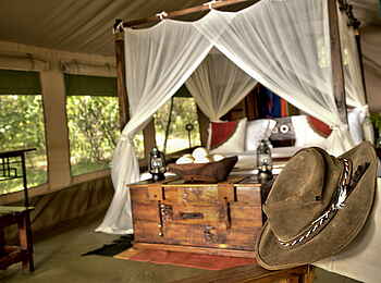 Mara Bush Camp: Safari-Hut im Zelt am Fluss Mara Bush Camp: Safari-Hut im Zelt am Fluss