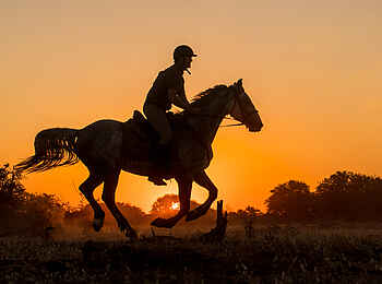 Mashatu Game Reserve: Galopp vor der untergehenden Sonne