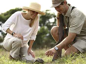 &Beyond Phinda Forest Lodge: Schildkröte auf einer Buschwanderung
