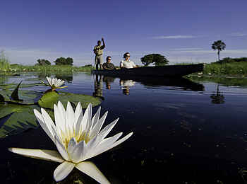 Jacana Camp: Mokoro mit Gästen und Seerosen Jacana Camp: Mokoro mit Gästen und Seerosen