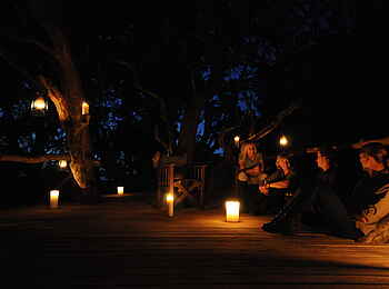 Macatoo Camp: Beleuchtetes Baumhaus