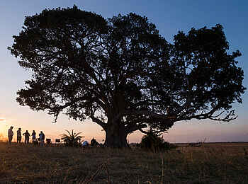 Mukambi Busanga Plains Camp: Es wird Abend Mukambi Busanga Plains Camp: Es wird Abend