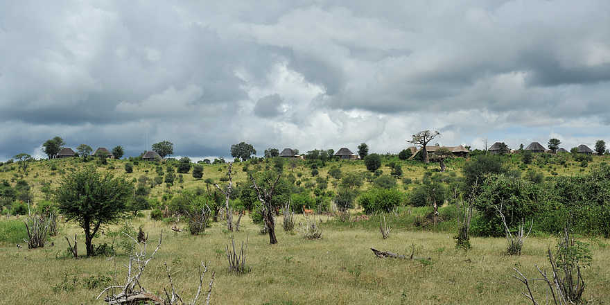 Ngoma Safari Lodge: Die Lodge vom Wasser aus gesehen Ngoma Safari Lodge: Die Lodge vom Wasser aus gesehen
