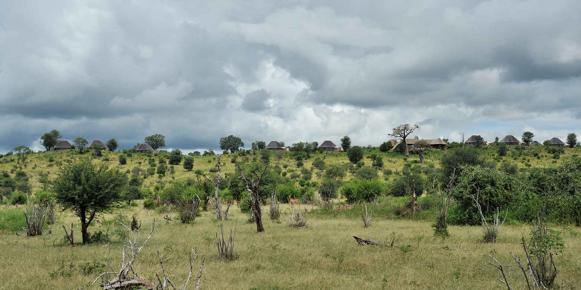 Ngoma Safari Lodge: Die Lodge vom Wasser aus gesehen