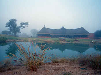 Okonjima Bush Camp: Lapa im Nebel