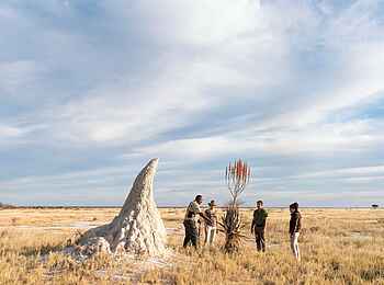 Onguma Forest Camp: Am Termitenhügel