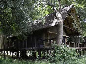 Pafuri Camp: Gästezelt von außen