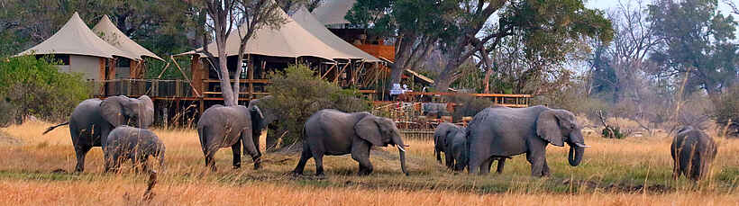 Tuludi Camp: Elefanten vorm Camp