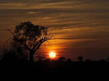 Xakanaxa Camp: Sonnenuntergang