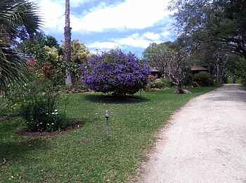 Clever's Lake View Resort: Zufahrt Clever's Lake View Resort: Zufahrt