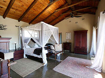 Notten's Bush Camp: Blick in ein Schlafzimmer einer Suite Notten's Bush Camp: Blick in ein Schlafzimmer einer Suite