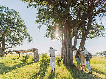Camp Okavango: Walking Safari Camp Okavango: Walking Safari