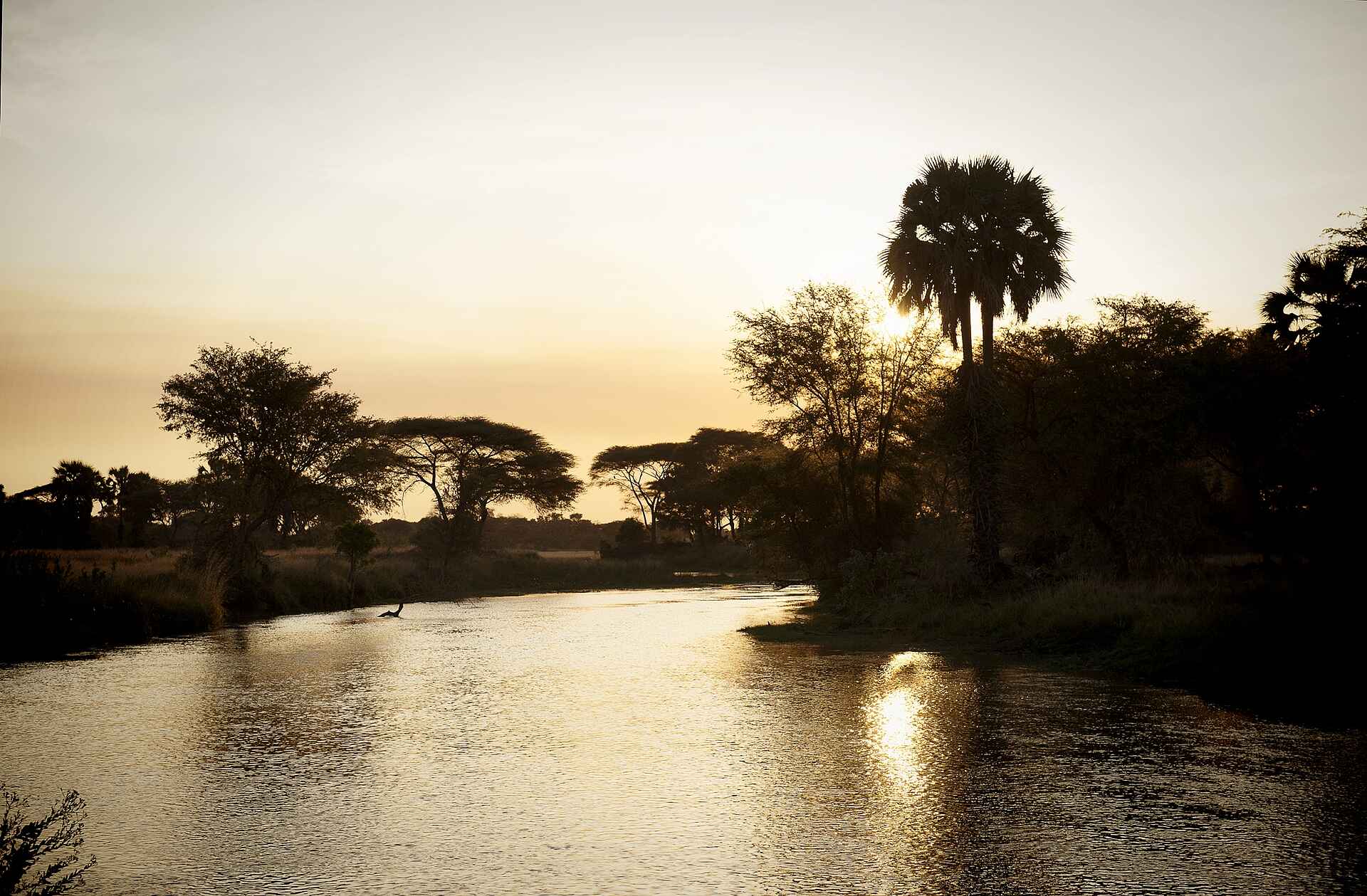 Chada Katavi, chada katavi camp, Landschaft