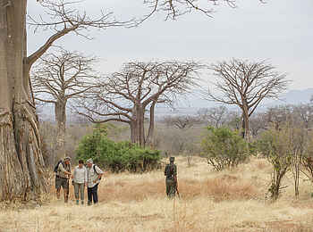 Kwihala Camp: Guide und Gäste auf Wanderung
