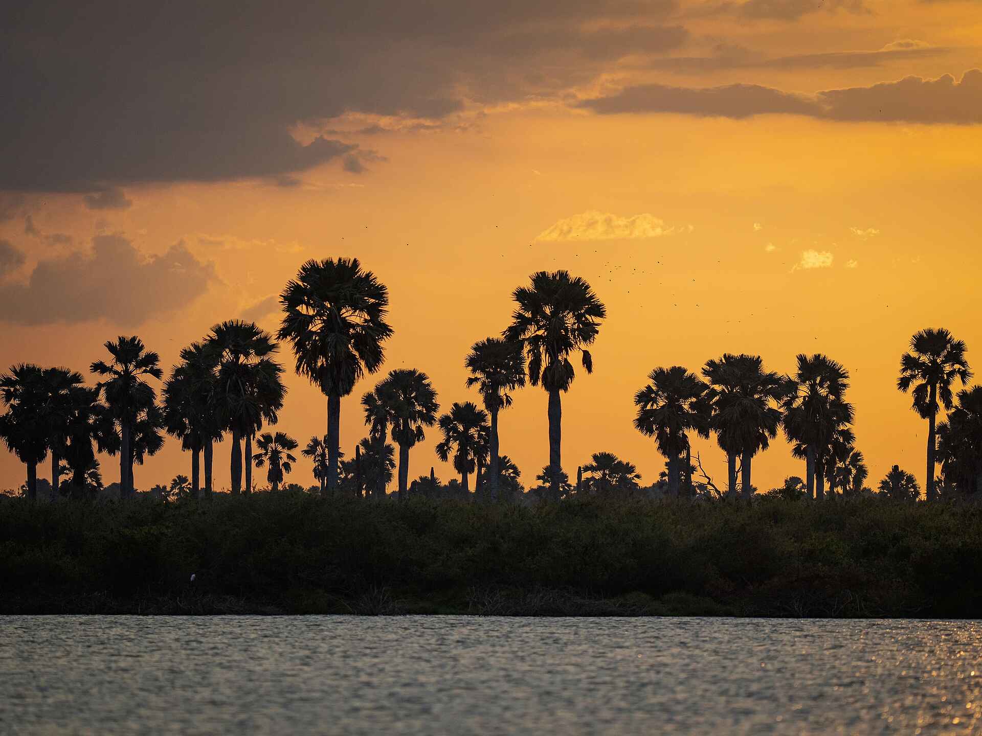 Laba Siwandu Camp: Sonnenuntergang Laba Siwandu Camp: Sonnenuntergang