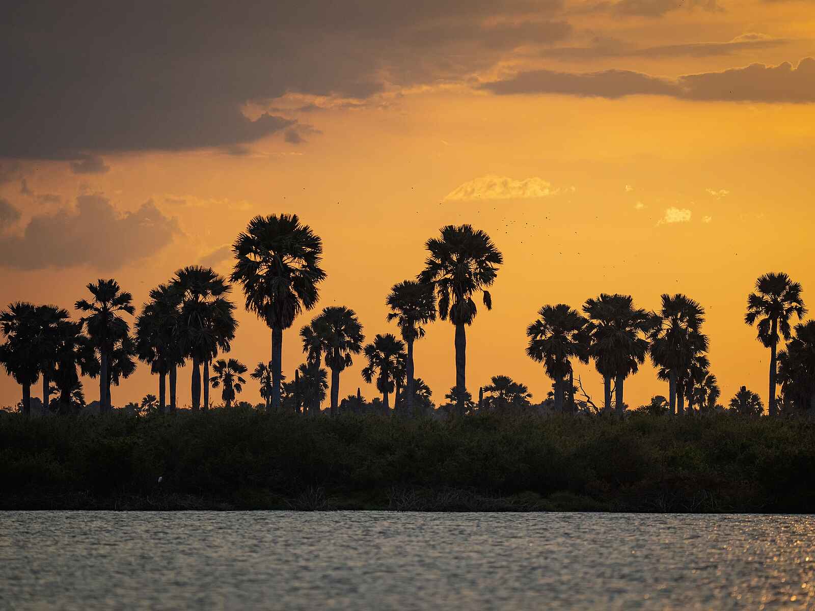 Laba Siwandu Camp: Sonnenuntergang Laba Siwandu Camp: Sonnenuntergang