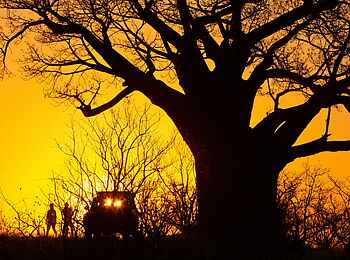 Mpala Jena Camp: Stimmung Mpala Jena Camp: Stimmung