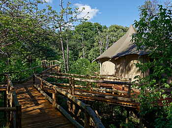 Nambwa Lodge: Holzstege Nambwa Lodge: Holzstege