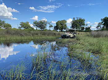 North Island Okavango Safari Camp: Gamedrive