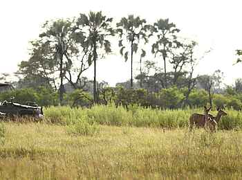 Nxabega Okavango Tented Camp: Geländewagen auf der Pirsch