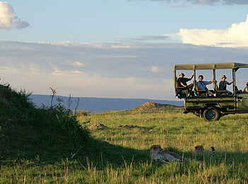 Sayari Camp: Geparden