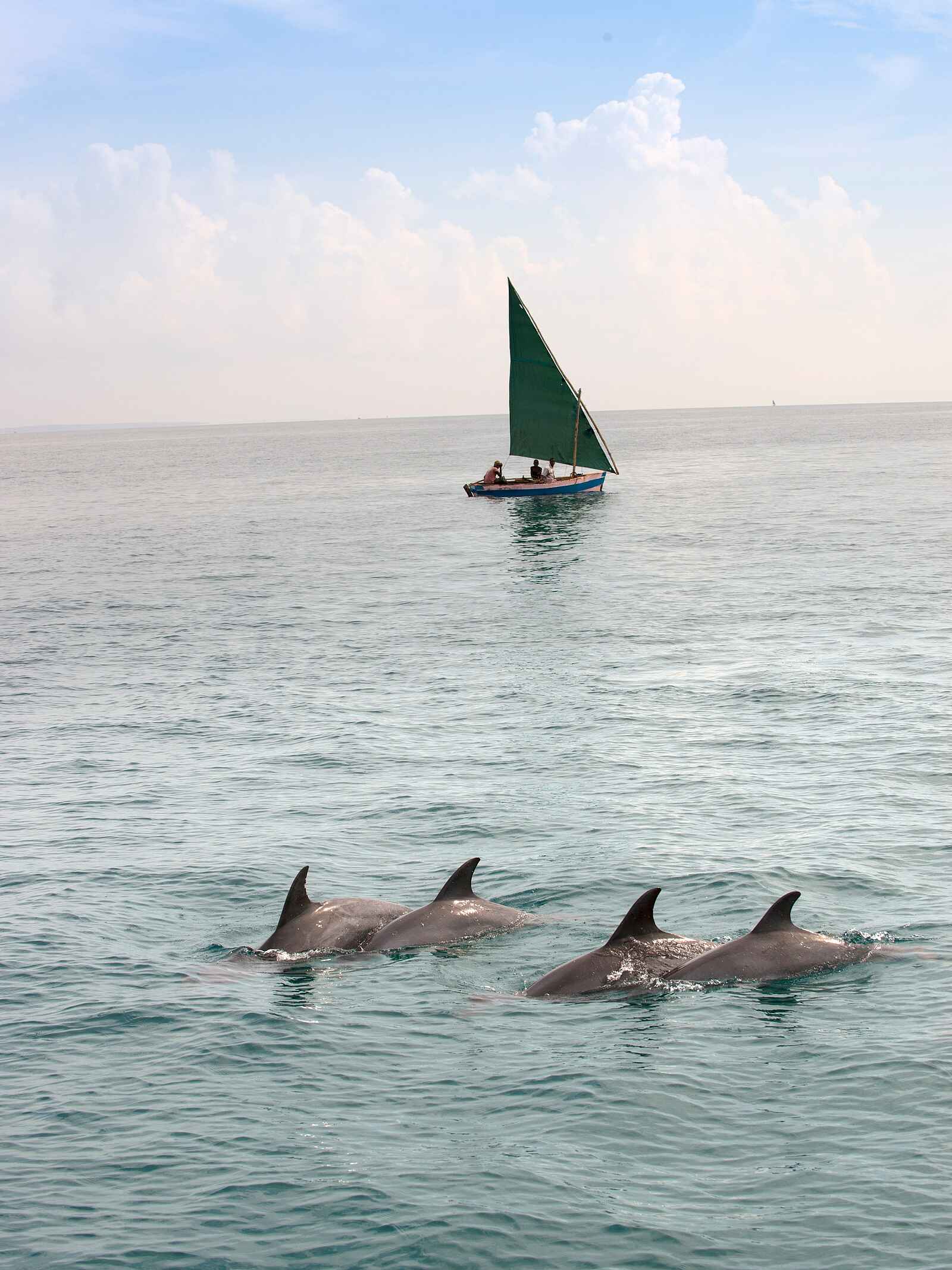 andBeyond Benguerra Island: Delfine andBeyond Benguerra Island: Delfine