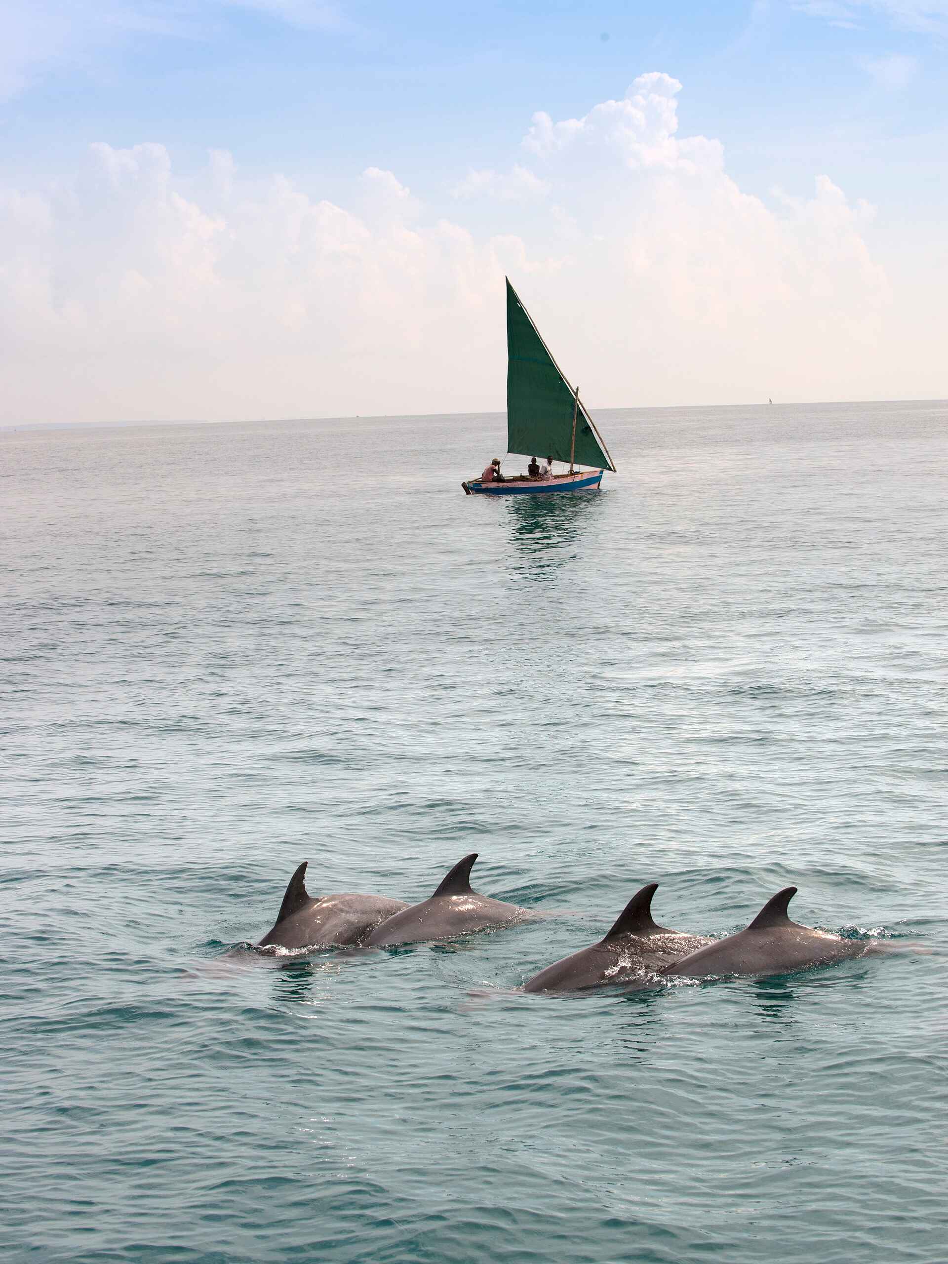 andBeyond Benguerra Island: Delfine andBeyond Benguerra Island: Delfine