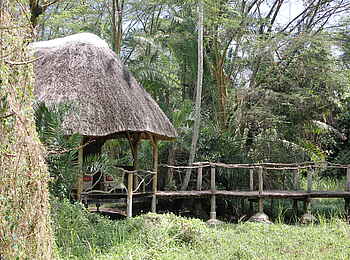 Enjojo Lodge: Holzsteg und Gästechalet