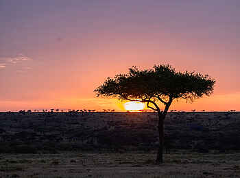 Hemingways River Camp Mara: Abendstimmung