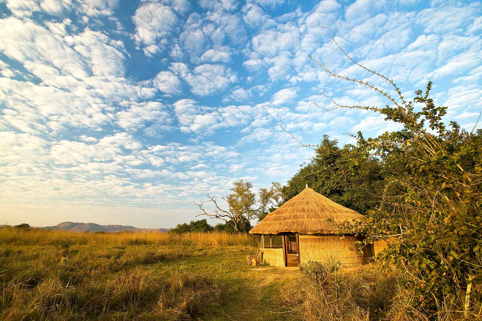 Kuyenda Bushcamp: Gästechalet unter heiterem Himmel Kuyenda Bushcamp: Gästechalet unter heiterem Himmel