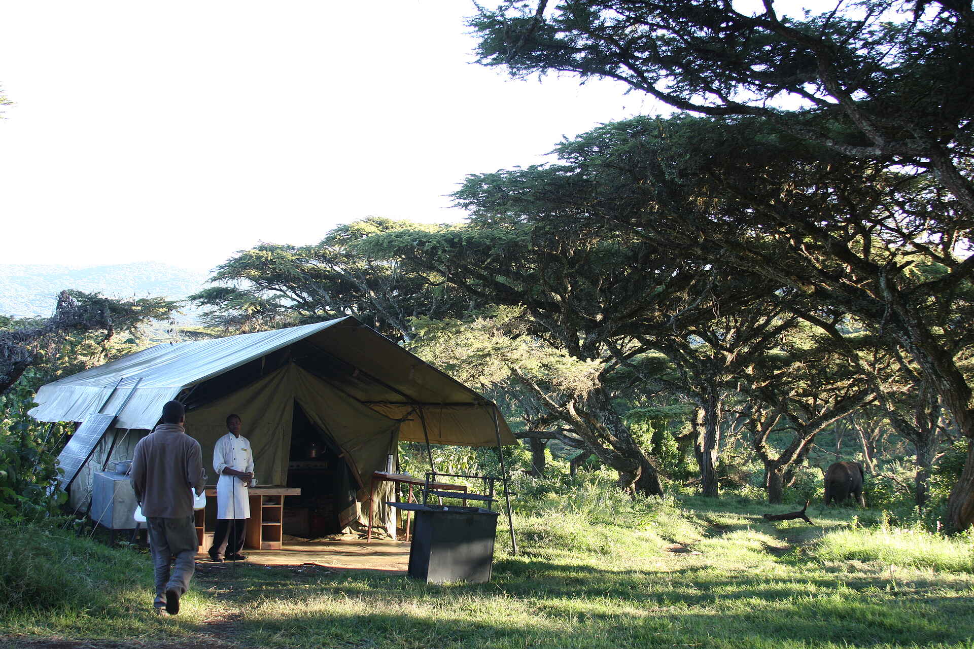 afrikarma, afrikarma Safaris, afrikarma.de, Kochen, Küchenzelt, Lemala Ngorongoro, Lemala Camps, Wildtierwanderung