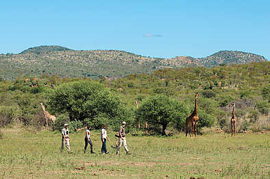 Madikwe Safari Lodge Lelapa: Geführte Wanderung Madikwe Safari Lodge Lelapa: Geführte Wanderung
