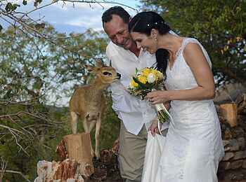Okutala Lodge: Brautpaar mit Klippspringer Okutala Lodge: Brautpaar mit Klippspringer