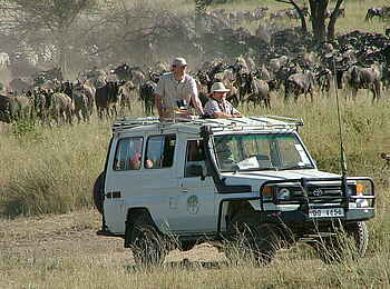 Olduvai Camp: Game Drive Vehicle