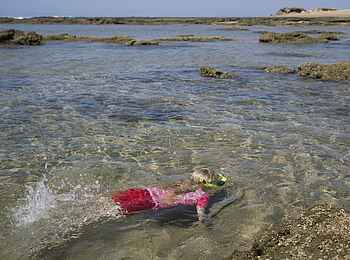 Rocktail Beach Camp: Schnorcheln