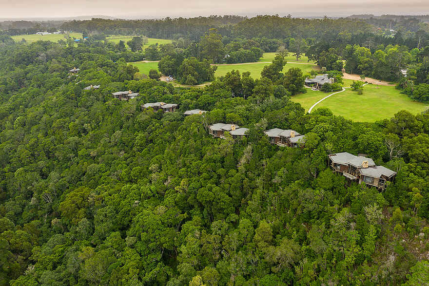 Tsala Treetop Lodge: Gesamtansicht Tsala Treetop Lodge: Gesamtansicht