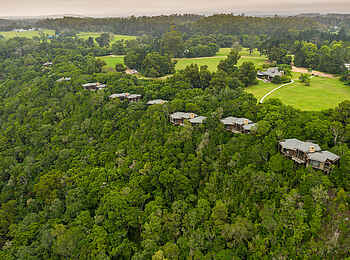 Tsala Treetop Lodge: Gesamtansicht Tsala Treetop Lodge: Gesamtansicht