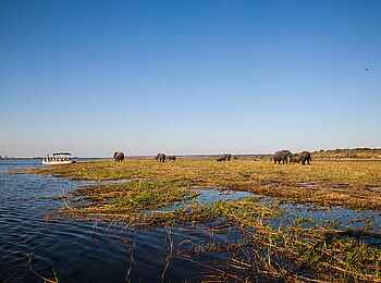 Camp Kuzuma: Elefanten auf den Floodplains Camp Kuzuma: Elefanten auf den Floodplains